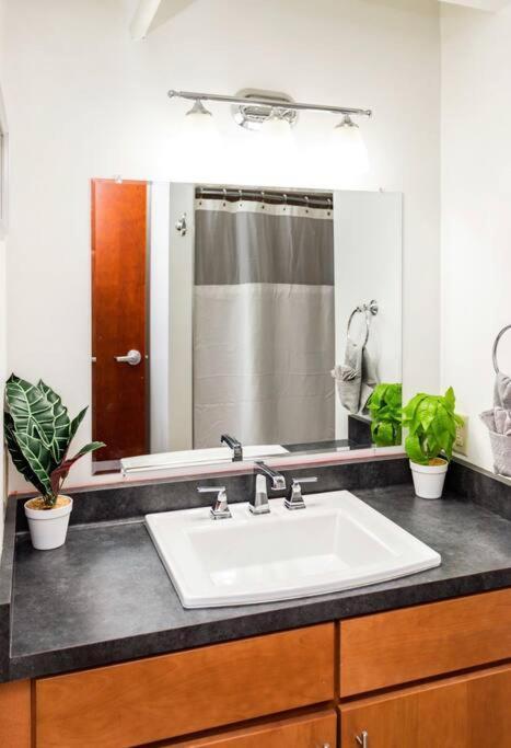 Centric Modern Loft W/ King Beds Apartment Rochester Luaran gambar